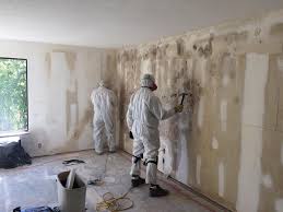 Best Air Quality Testing for Mold Spores  in Estell Manor, NJ